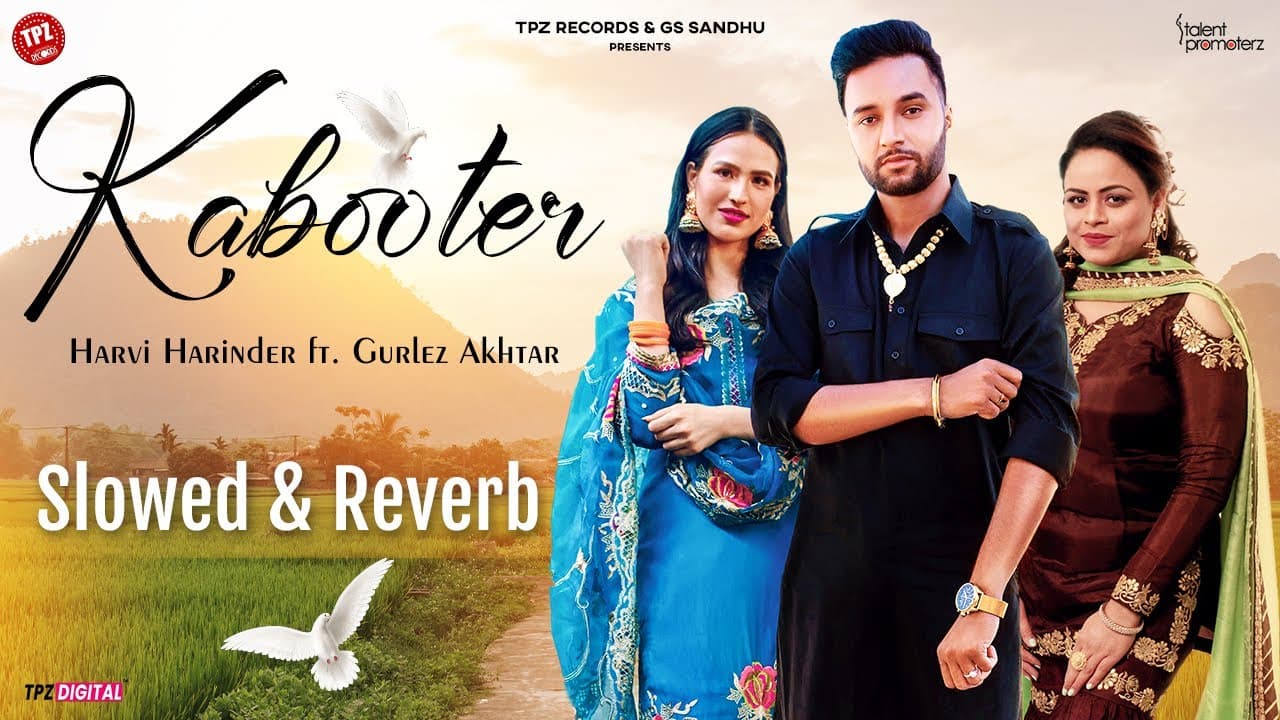Kabooter | Harvi Harinder | Gurlez Akhtar | Slowed & Reverb Songs | Punjabi Song 2024